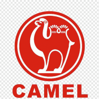 CAMEL -   "", 